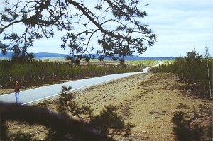 Am Lemmenjoki-Nationalpark (Nordwesten)