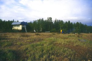 Windgesch&uuml;tzt am Waldrand