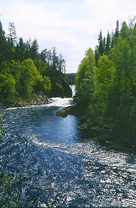 Taivalk&ouml;ng&auml;s