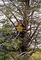 Fotograf an einem der h&ouml;chsten Punkte in Lappland