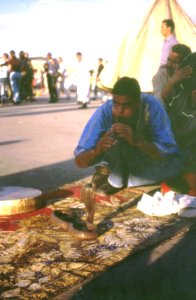 Schlangenbeschw&ouml;rer