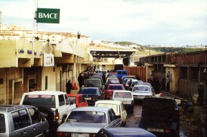 Kleine Schlange an der Grenze - von Meike