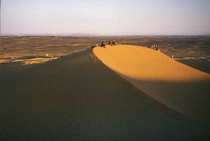 Sonnenaufgang auf den D&uuml;nen - von Cathrin