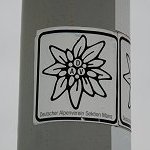 Markierung: Edelweiss