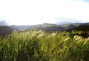 im Rif-Gebirge - von Sabine