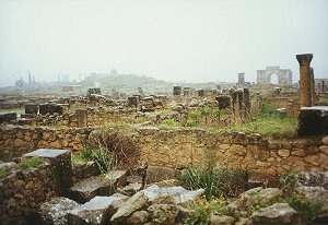 Die r&ouml;mischen Ruinen von Volubilis - von Finanzamt-Kerstin