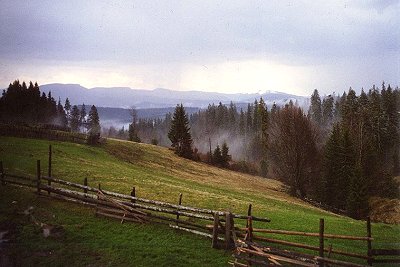 Regenstimmung in den Ostkarpaten