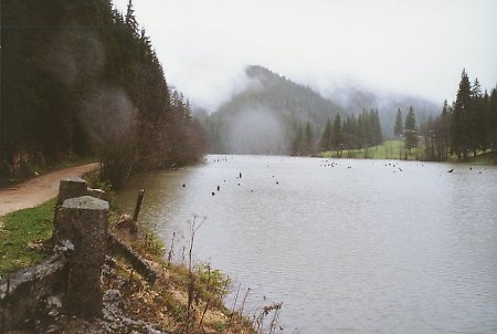 Lacul Rosu