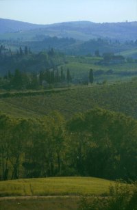Kurz vor dem Gewitter